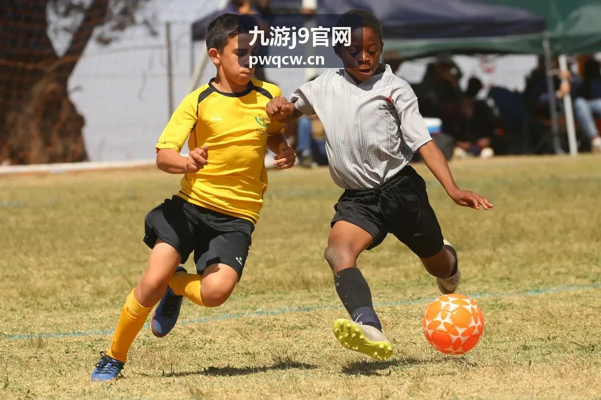 九游j9官网新服开服表下午档开服条目封面