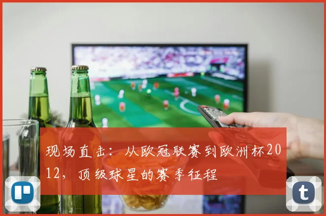 现场直击：从欧冠联赛到欧洲杯2012，顶级球星的赛季征程