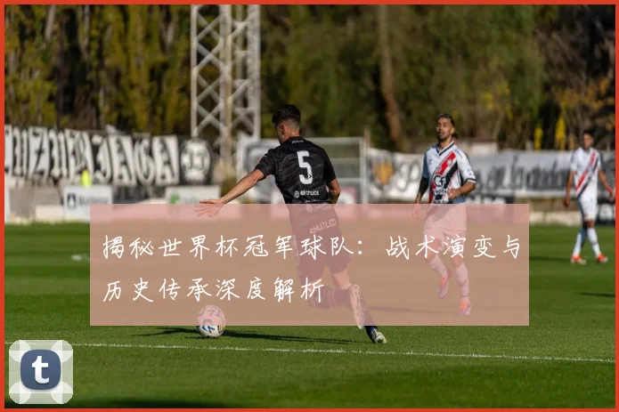 揭秘世界杯冠军球队：战术演变与历史传承深度解析