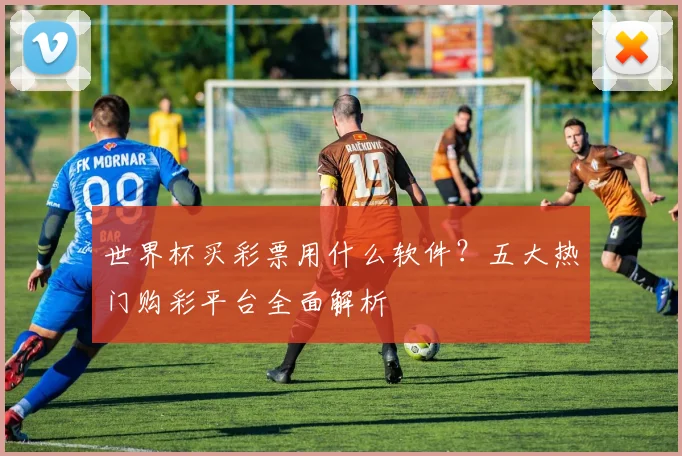 世界杯买彩票用什么软件?五大热门购彩平台全面解析
